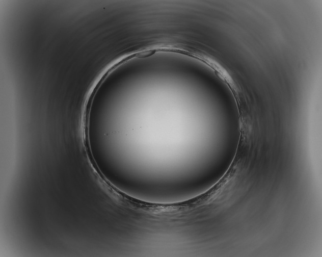 X0000093411148200710121112