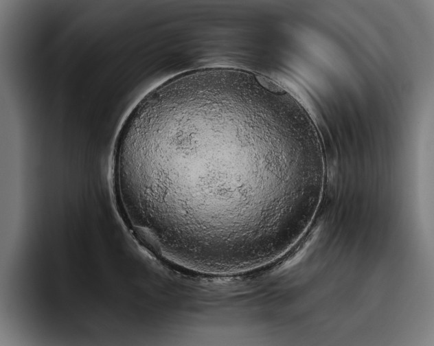 X0000093411149200710121112