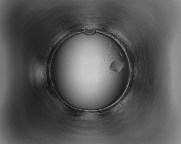 X0000093411162200710121112
