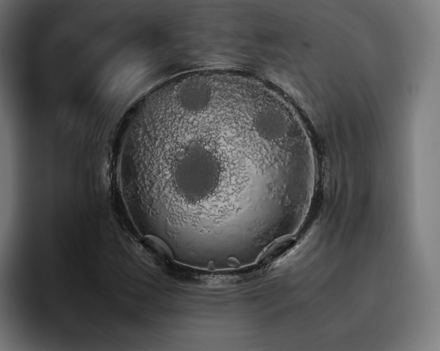 X0000093411163200710121112