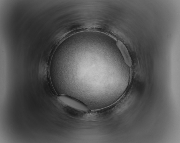 X0000093411169200710121112