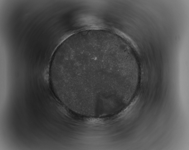 X0000093411170200710121112