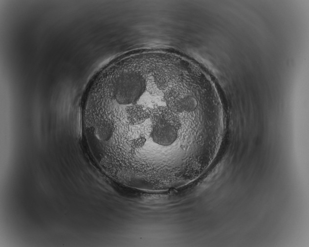 X0000093411171200710121112