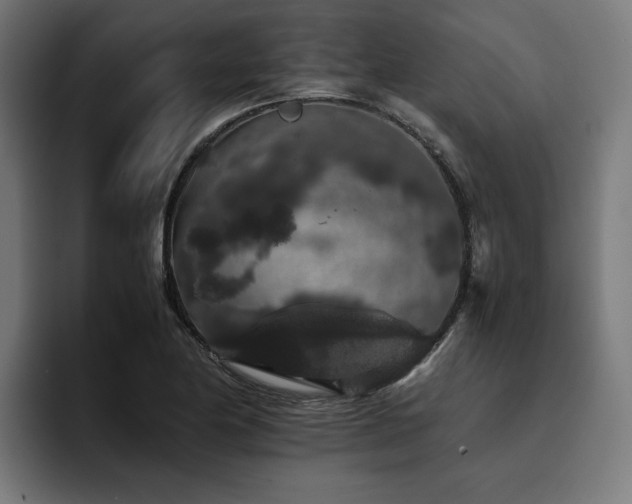 X0000093411174200710121112