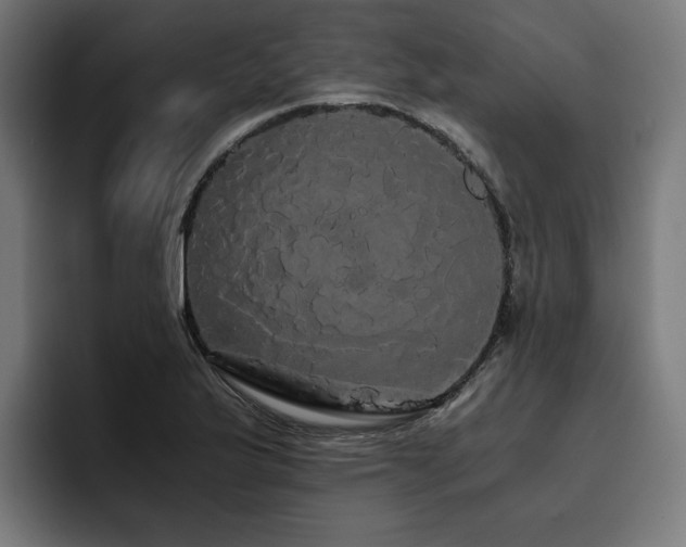 X0000093411175200710121111