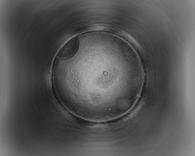 X0000093411178200710121111