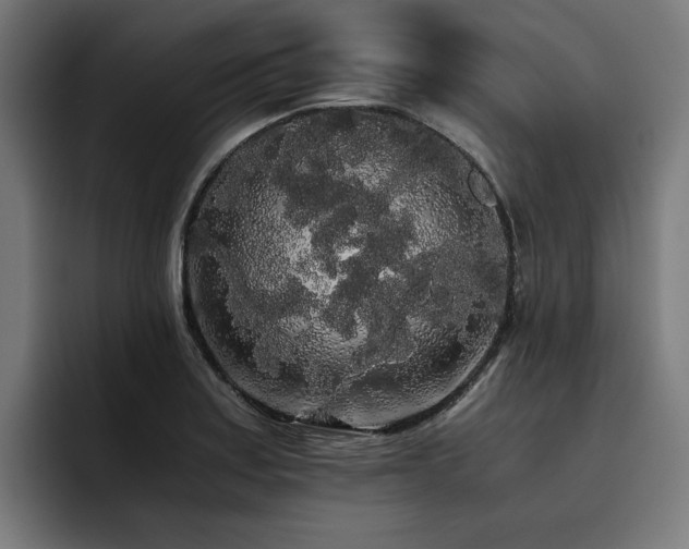 X0000093411179200710121111