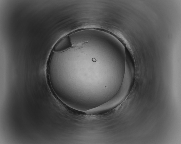 X0000093411181200710121111