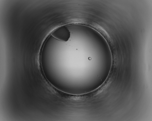 X0000093411182200710121111
