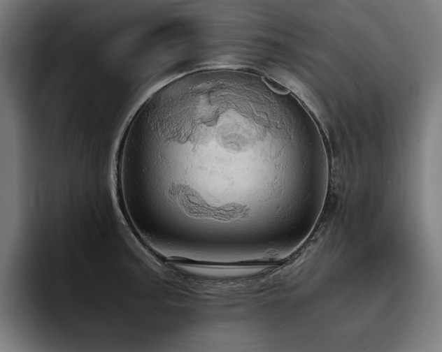 X0000093411187200710121111