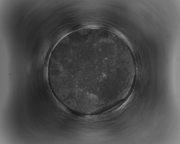 X0000093411194200710121111