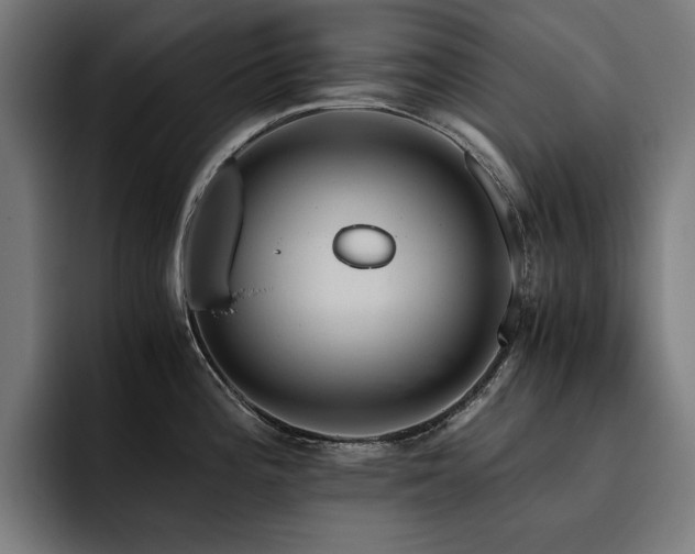 X0000093411196200710121111