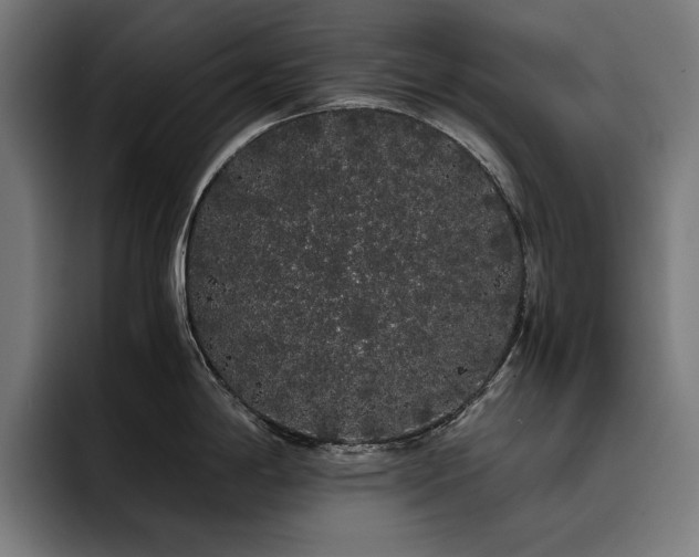 X0000093411198200710121111