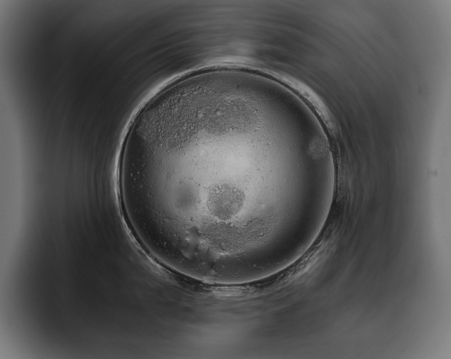 X0000093411199200710121111