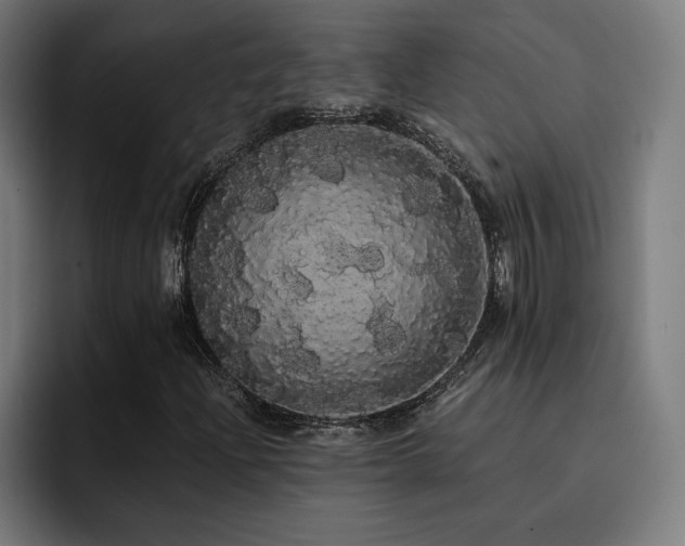 X0000093411204200710121111