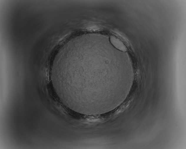X0000093411205200710121111