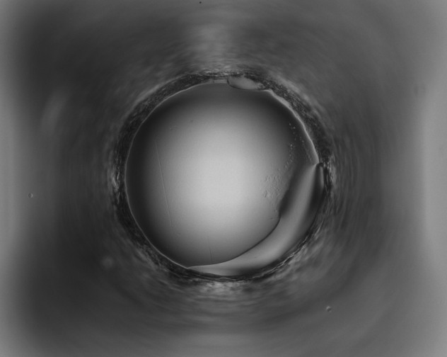 X0000093411206200710121111