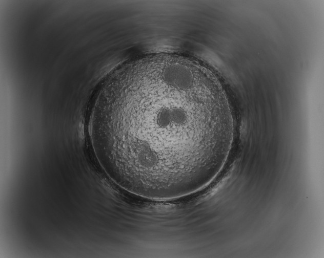 X0000093411209200710121111
