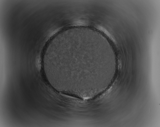 X0000093411213200710121111