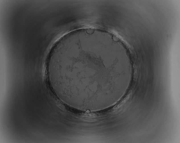 X0000093411215200710121111