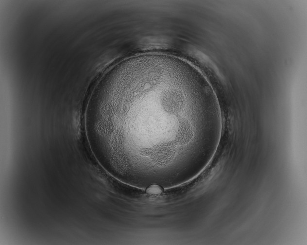X0000093411217200710121111