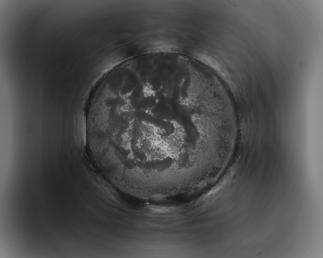 X0000093411219200710121111