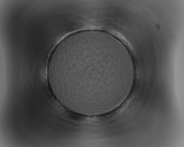 X0000093411220200710121111