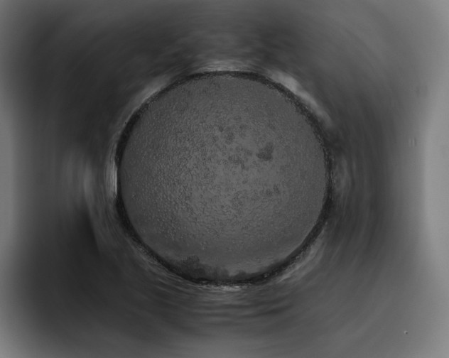 X0000093411221200710121111