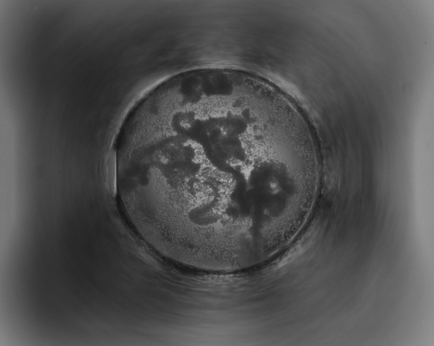 X0000093411223200710121111