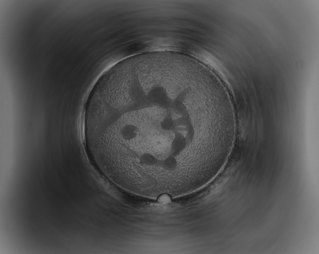 X0000093411227200710121111