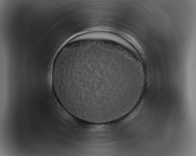X0000093411228200710121111