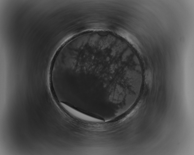 X0000093411229200710121111