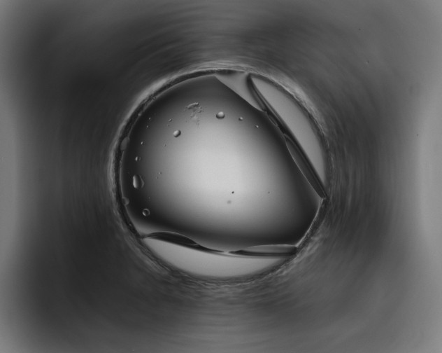 X0000093411230200710121111