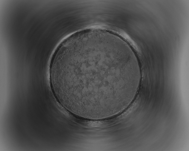 X0000093411232200710121111