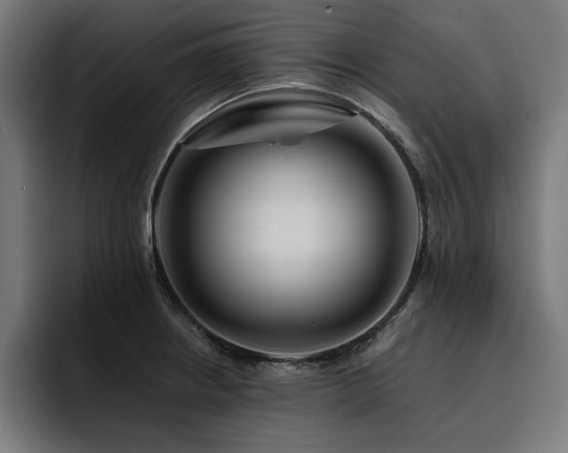 X0000093411234200710121111