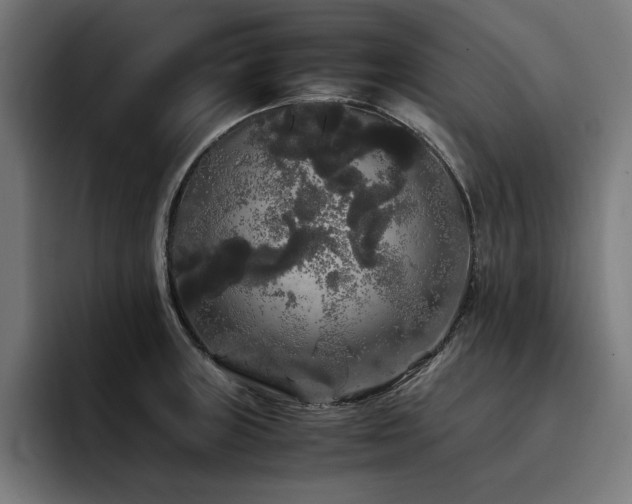X0000093411235200710121111