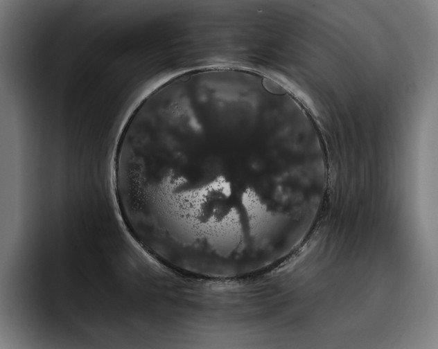 X0000093411239200710121111