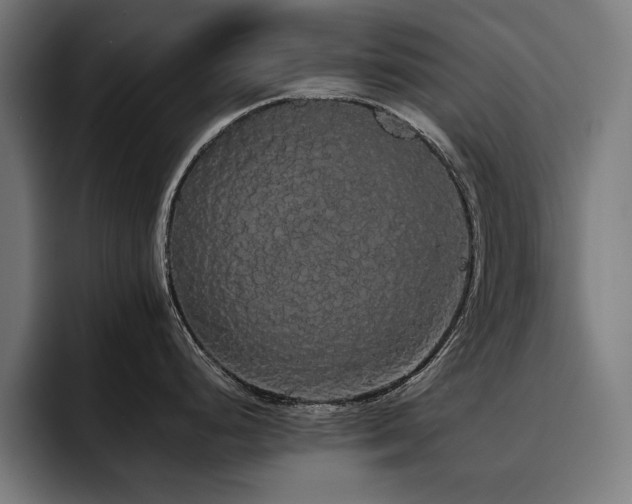 X0000093411248200710121111