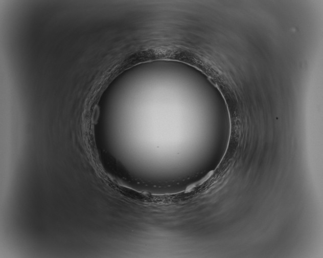 X0000093411249200710121111