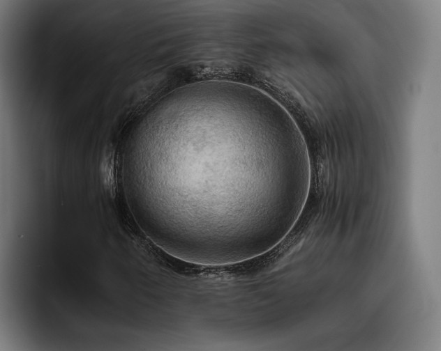 X0000093411250200710121111
