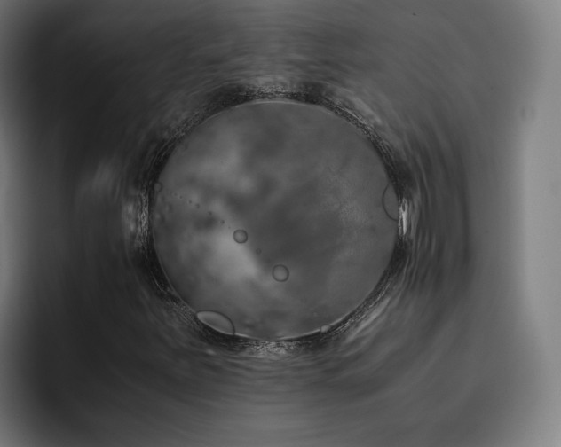 X0000093411251200710121111