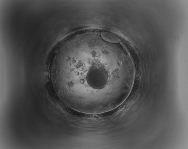 X0000093411255200710121111