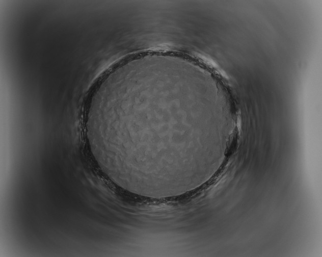 X0000093411256200710121111