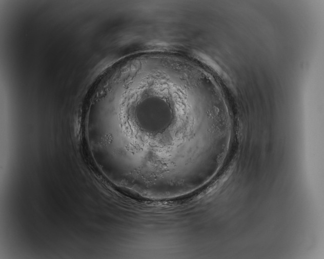 X0000093411259200710121111
