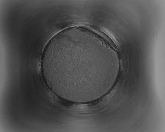 X0000093411260200710121111