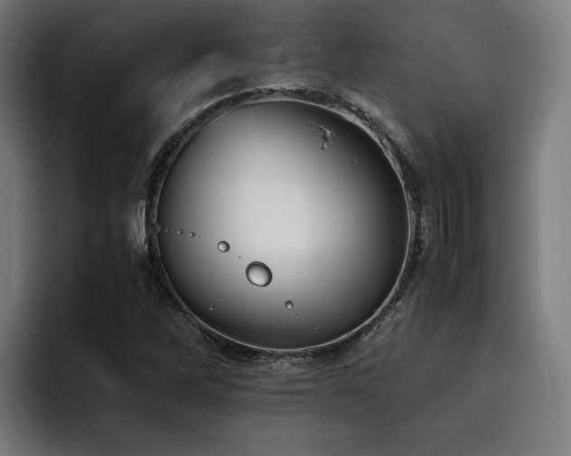 X0000093411262200710121110