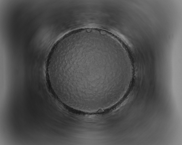 X0000093411264200710121110