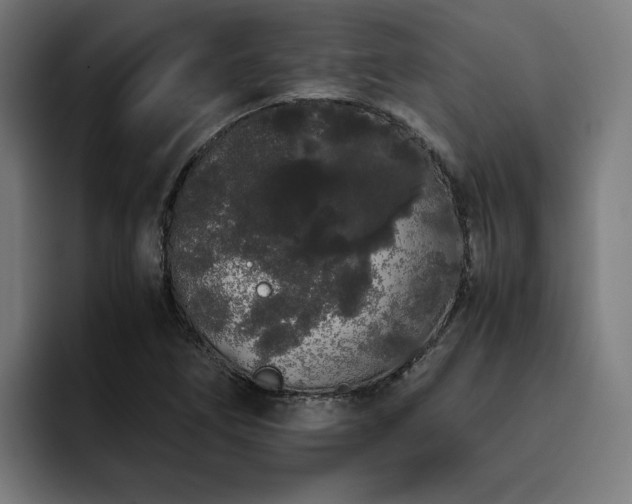 X0000093411266200710121110