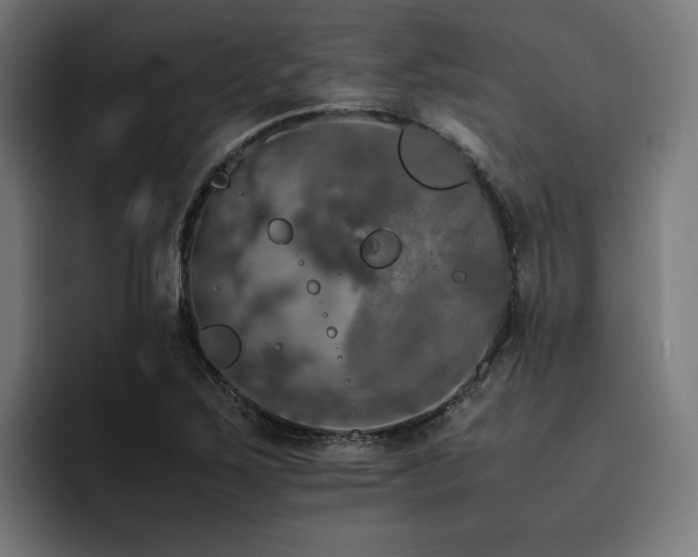 X0000093411267200710121110