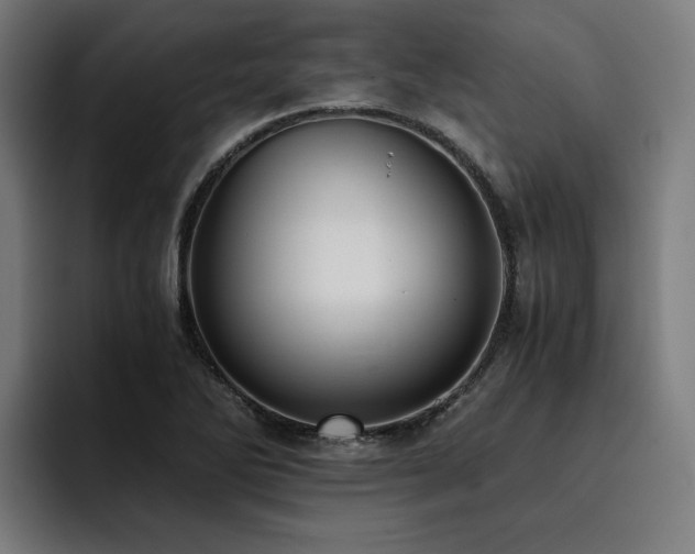 X0000093411270200710121110